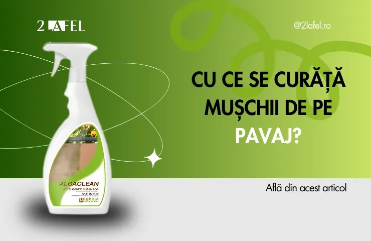 Cu ce se curata muschii si lichenii de pe pavaj