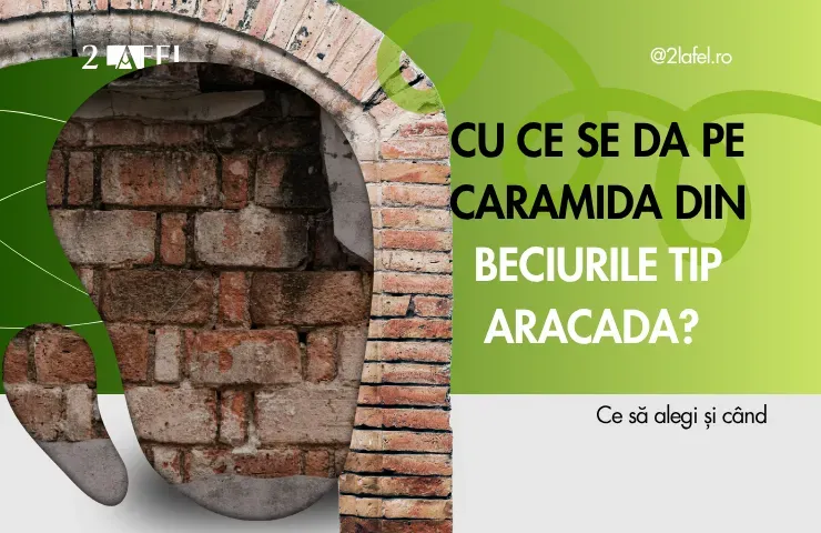Cu Ce Se Dă pe Cărămida din Beciurile Tip Arcadă? Ghid Complet de Tratament