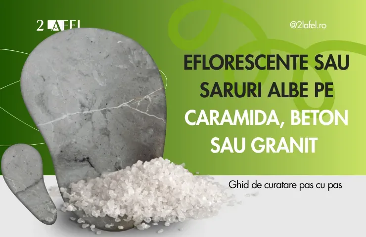 Eflorescente sau saruri albe pe caramida, beton sau granit ghid de curatare pas cu pas