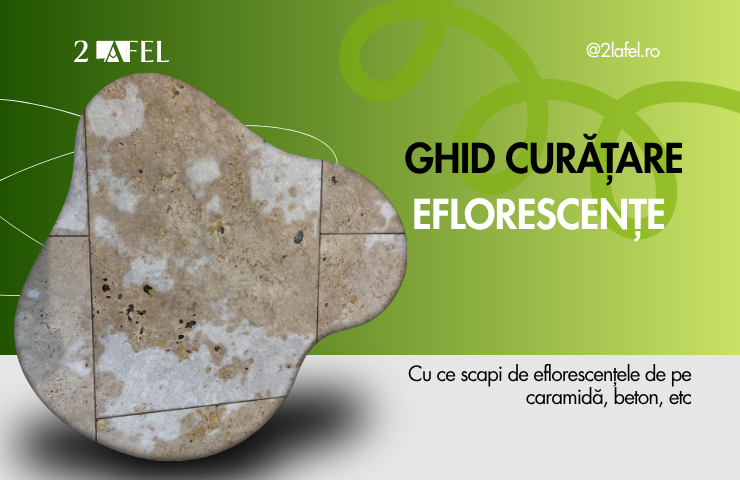 GHID CURATARE EFLORESCENTE