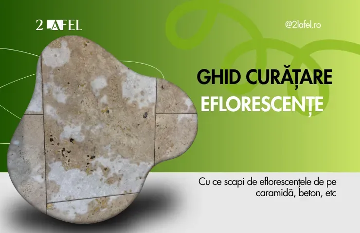 GHID CURATARE EFLORESCENTE