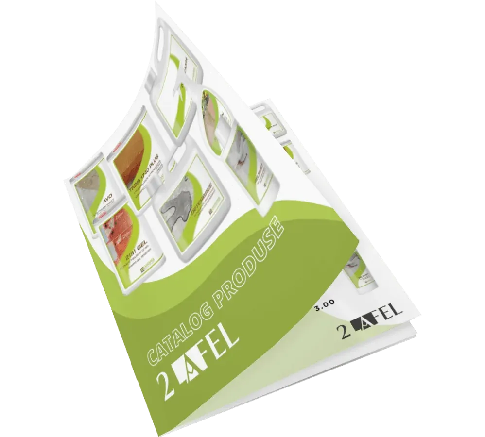 despre-noi-section-1-image.webp